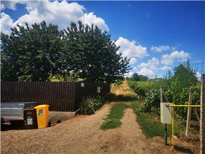 teren intravilan de vanzare in iasi, zona tomesti-chicerea