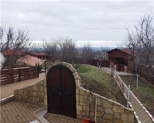 Tomesti  Chicerea, afacere garantata! Ideal pentru sala de evenimente, sat de vacanta, azil batrani, etc!