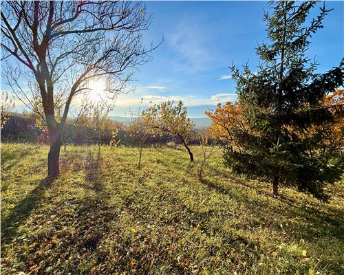 Proprietar Casa D+P+M, 3 cam, 800 teren, Curaturi / Lunca Cetatuii