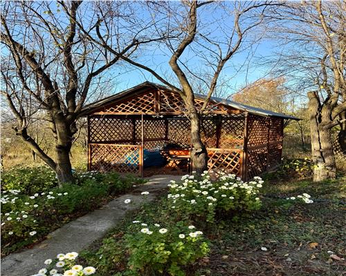 Proprietar Casa D+P+M, 3 cam, 800 teren, Curaturi / Lunca Cetatuii