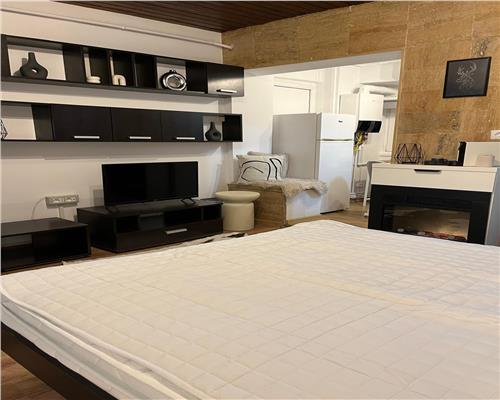Apartament 1 camera de inchiriat Hala centrala