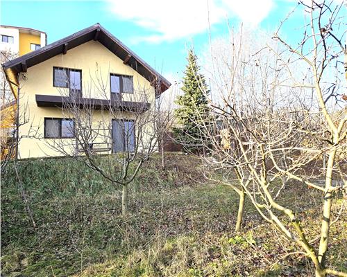Vila 4 cam, 650 teren, regie proprie, Cetatuia, Hlincea Hlincea