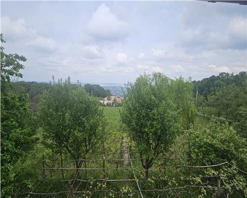 Vila de vanzare in zona Barnova langa Padure