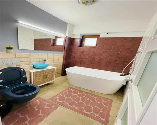 Apartament 2 cam, open space, de vanzare in zona Tatarasi  Sf Maria