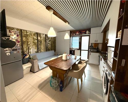 Apartament 3 cam, mob. si utilat, gradina, Hlincea Iasi Hlincea