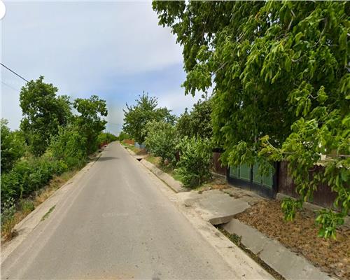 Teren la Padure in Poiana cu Cetate,  9500 mp