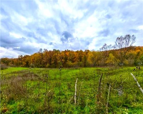 Teren la Padure in Poiana cu Cetate,  9500 mp