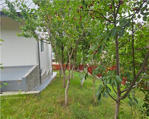 Vila spațioasa in zona Bucium — 650 mp teren