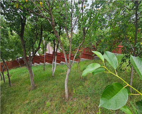 Vila spațioasa in zona Bucium — 650 mp teren