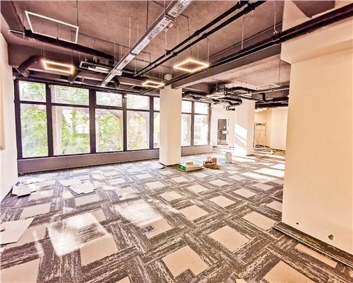 Spatiu Comercial Ultracental, Anastasie Panu  630Mp