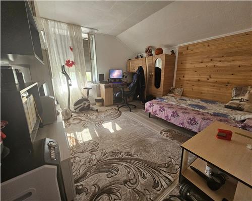 Casa eleganta in Bucium – Lidl, curte frumos amenajata si vegetatie matura