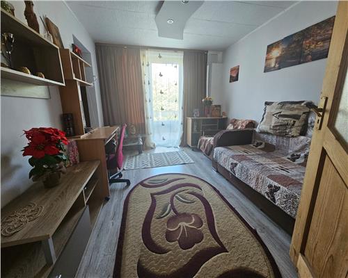 Casa eleganta in Bucium – Lidl, curte frumos amenajata si vegetatie matura