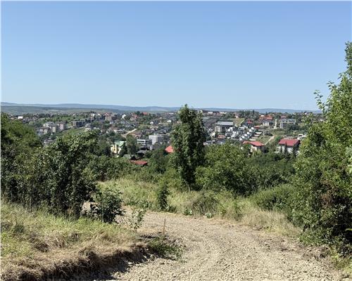 Teren de vanzare Copou  Viticultori