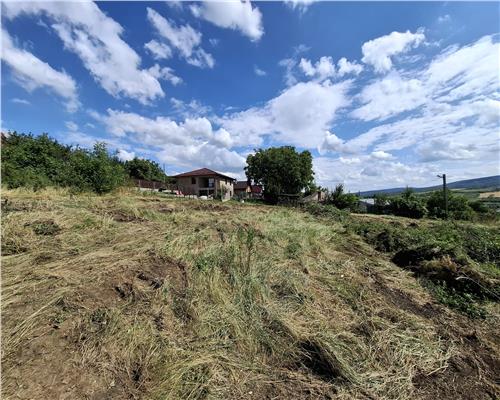 Tomesti Chicerea, 1183 MP teren intravilan cu utilitati in apropiere!
