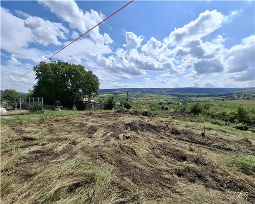 Tomesti Chicerea, 1183 MP teren intravilan cu utilitati in apropiere!
