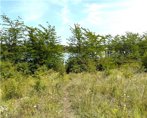 Teren de vanzare cu Iesire Directa la Lac Ezareni – 880 mp – Priveliste Rara