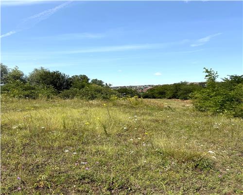 Teren de vanzare cu Iesire Directa la Lac Ezareni – 880 mp – Priveliste Rara