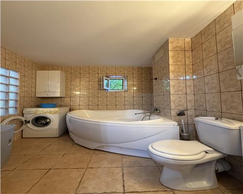 Inchiriez apartament 2 camere, open space, Podul de Fier