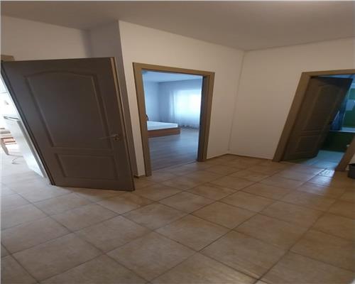 Apartament 1 camera de inchiriat NIcolina