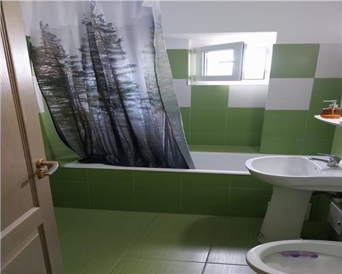 Apartament 1 camera de inchiriat NIcolina