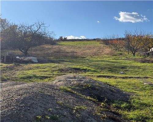 Casa spatioasa cu teren generos, Schitu Duca