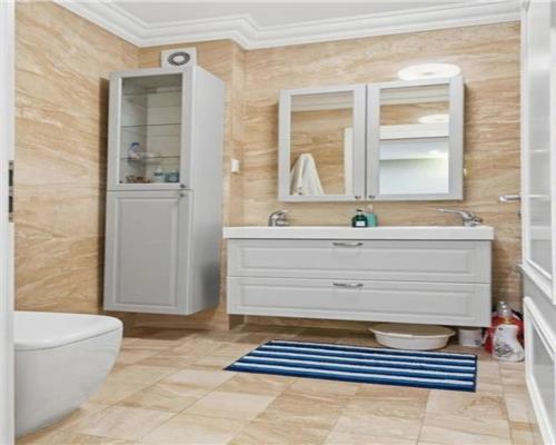 Vila deosebita cu piscina proprie, sector 6, Bucuresti