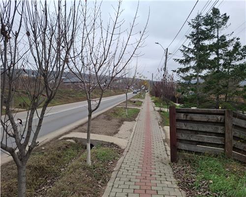 Teren intravilan de vanzare, Tomesti deal cu utilitati, priveliste unica!