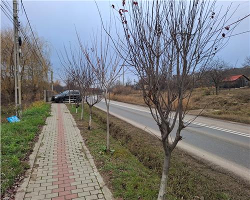 Teren intravilan de vanzare, Tomesti deal cu utilitati, priveliste unica! Tomesti