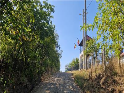 Teren intravilan de vanzare in Iasi, amplasat in zona HolbocaRuseni