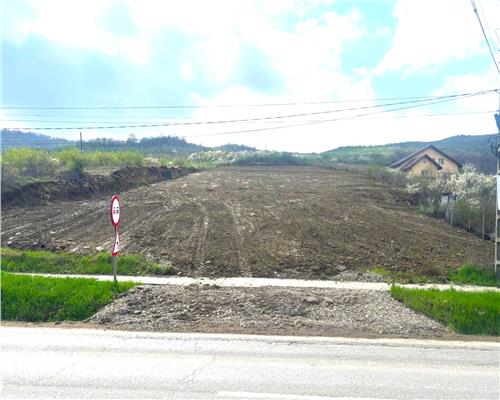 Teren 4.950 mp în centru Tomești – Acces DN28, intravilan, ideal investiție