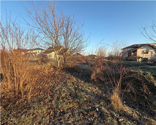 Teren 712/ 1422  mp, plan, Iasi Tudor Neculai,  bransamente