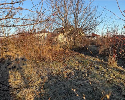 Teren 712/ 1422  mp, plan, Iasi Tudor Neculai,  bransamente