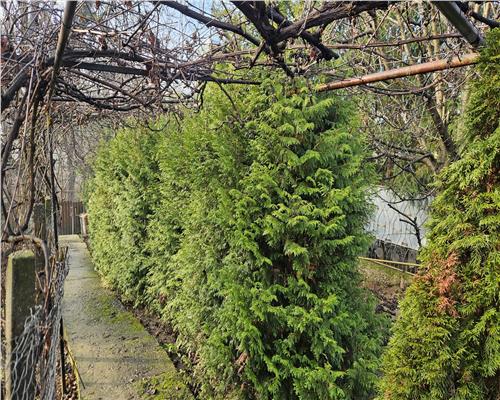 Teren intravilan 2.700 mp in Iasi – Bucium, zona Hill Center