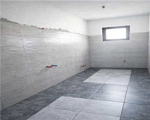 Vilă deosebită 235mp, Nicolina – 1000 mp teren, acces asfaltat, locație excelentă